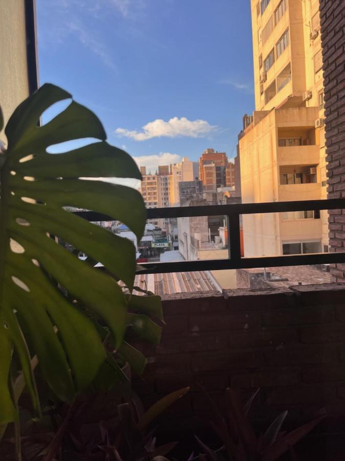 El Colibri